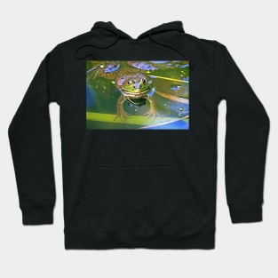 Unblinking Hoodie